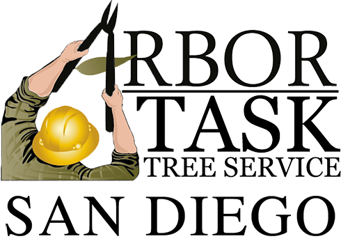 Arbor Task Tree Service San Diego