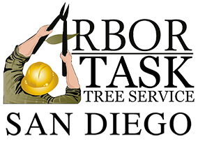 Arbor Task Tree Service San Diego