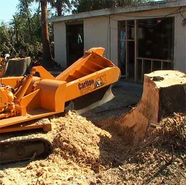 Tree Service Fletcher Hills