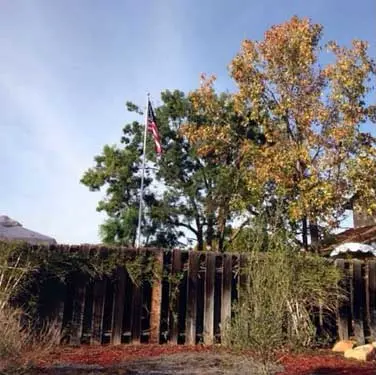 Santee After Santee Tree Service